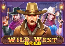 essaywriterprogram: Wild West Gold