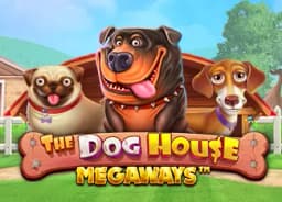 essaywriterprogram: The Dog House Megaways